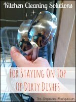 Dirty Dishes Text